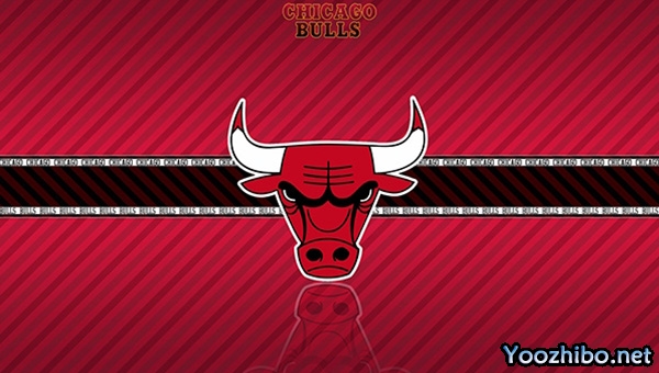 2025-26赛季公牛队完整赛程表一览